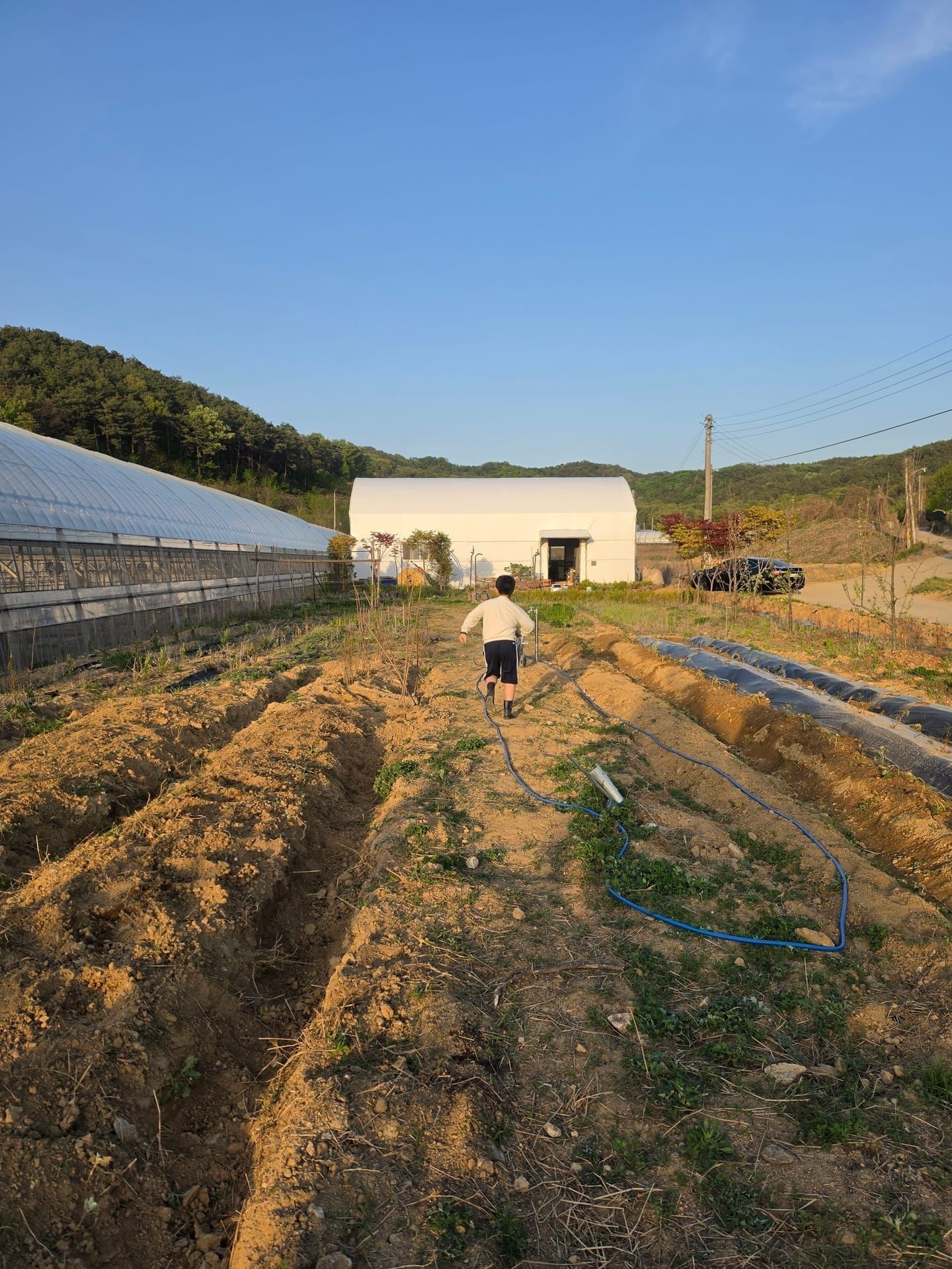 HIP FARM 노지 농장 전경